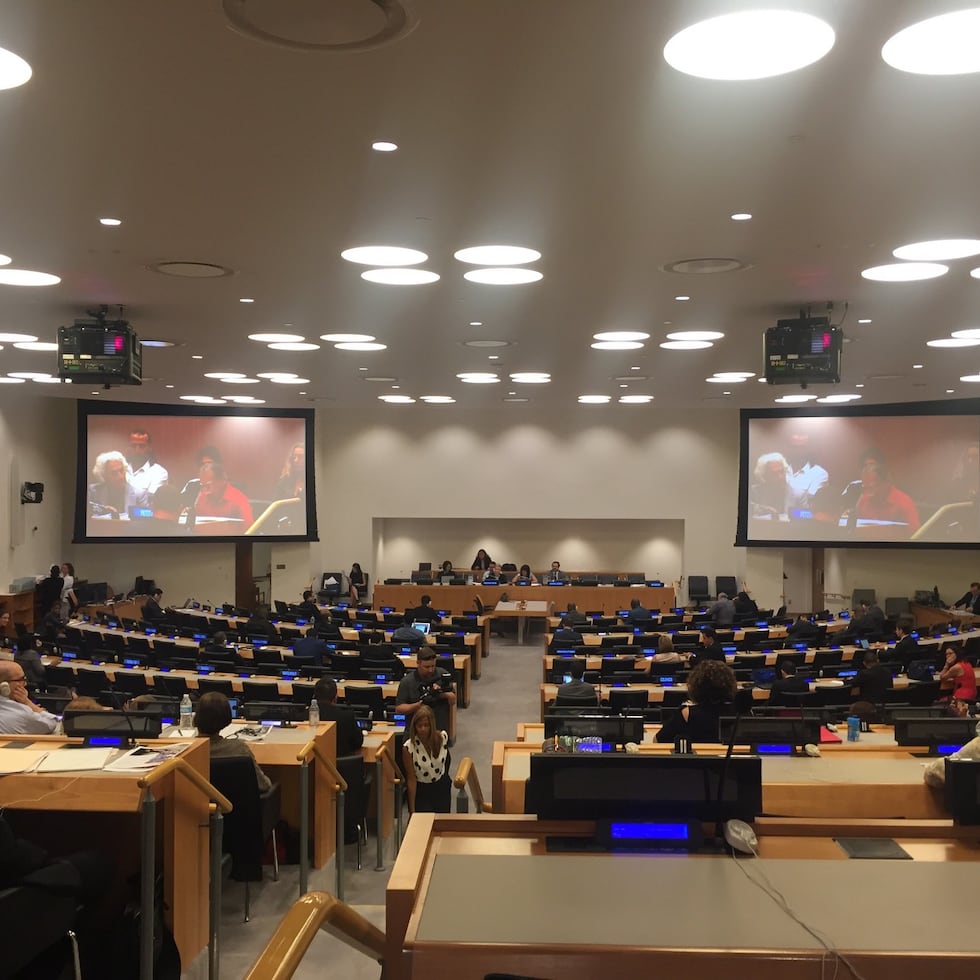 El Comité de Descolonización de las Naciones Unidas ha aprobado en 44 ocasiones una resolución que reconoce el derecho de Puerto Rico a su libre determinación e independencia.