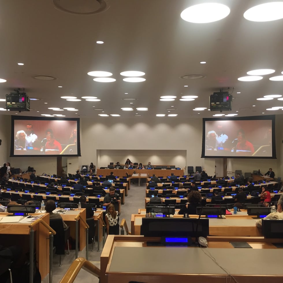 El Comité de Descolonización de las Naciones Unidas puede aprobar, por ocasión 44, una resolución en favor de la libre determinación e independencia.