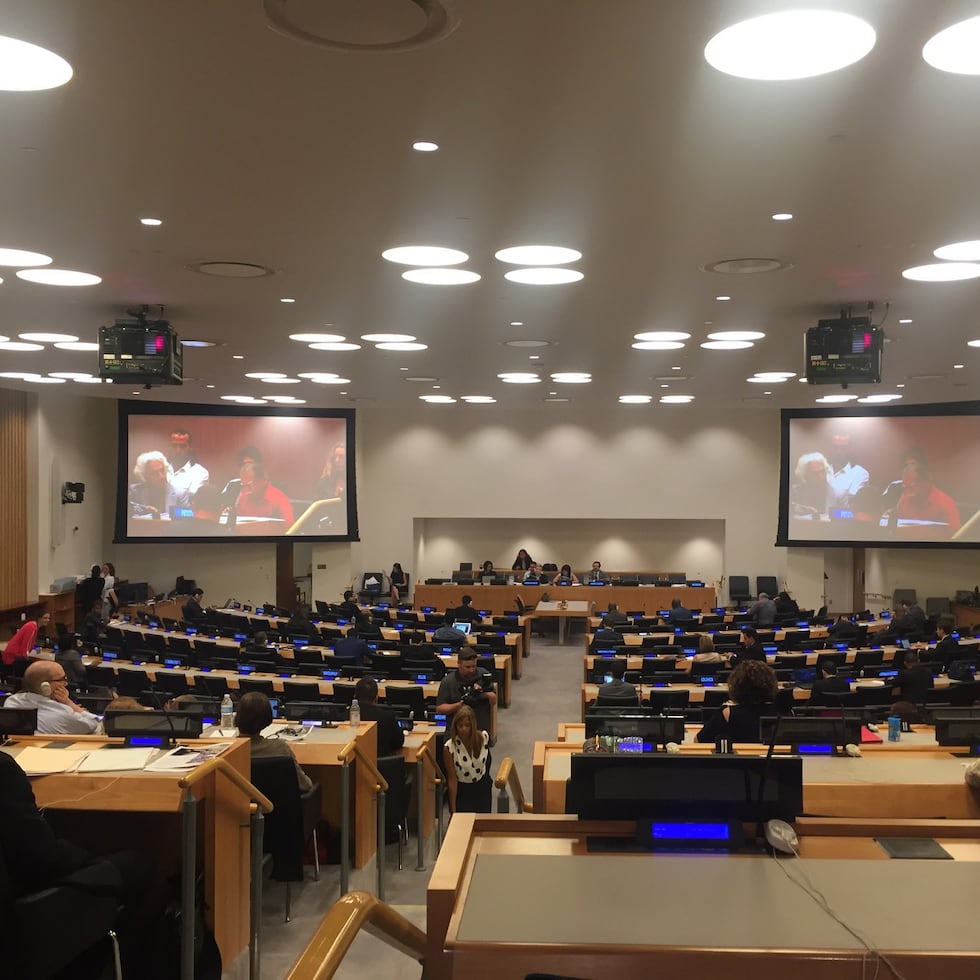 This year’s session of the UN Decolonization Committee may serve as the principal forum for Puerto Rican political and civic sectors to present their arguments concerning the archipelago’s colonial status.