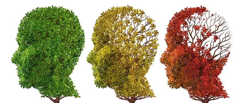 La demencia senil es un conjunto de enfermedades, cuya principal característica es el deterioro progresivo de las funciones mentales de la persona. (Foto: Shutterstock)