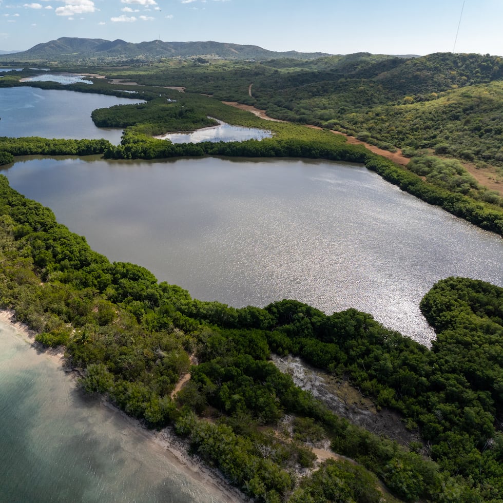 El Proyecto Esencia se extendería por unas 1,549 cuerdas en el área de Boquerón, en el municipio de Cabo Rojo.
