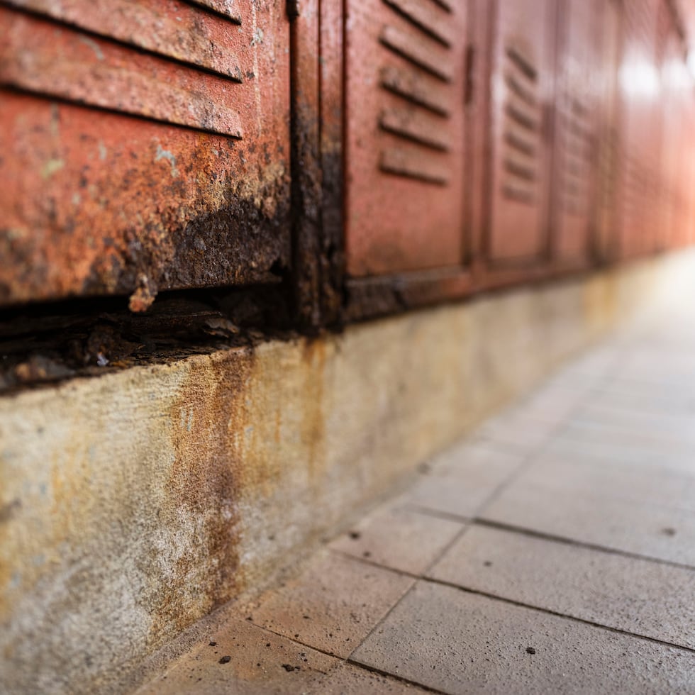 La presencia de moho en los casilleros genera preocupación entre estudiantes y atletas.