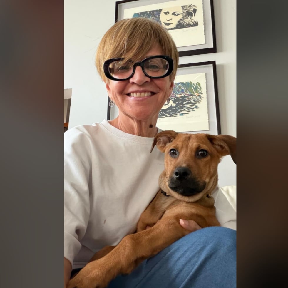 El cachorro se adaptó rápido a su nuevo hogar.