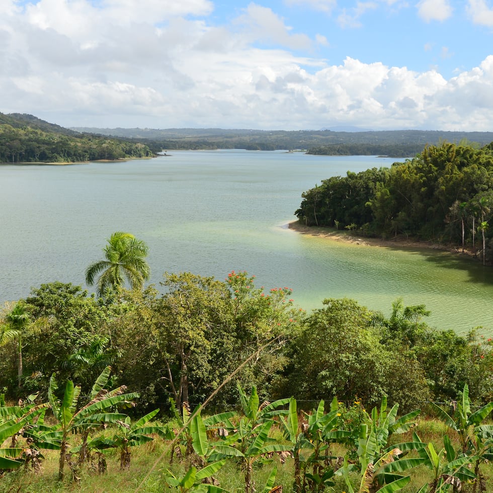 Refugio de Vida Silvestre Embalse Guajataca: localizado entre Quebradillas e Isabela, protegido para la conservación de fauna acuática.