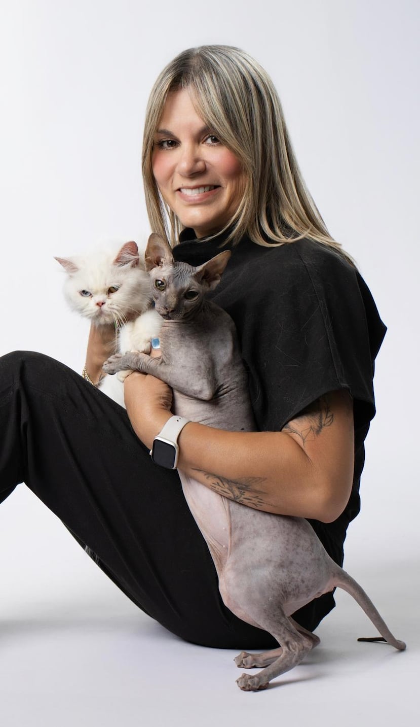 La empresaria Brenda Colón expandió sus servicios de grooming para gatos, en la modalidad a domicilio.