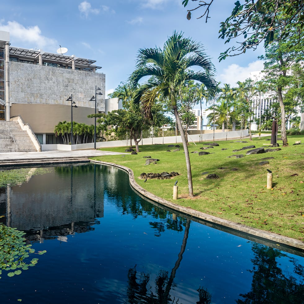 Reglas: Sorteo Puerto Rico en Lienzo