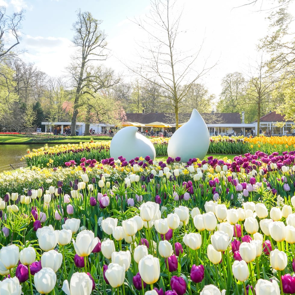 En los Jardines Keukenhof hay variedad de flores.