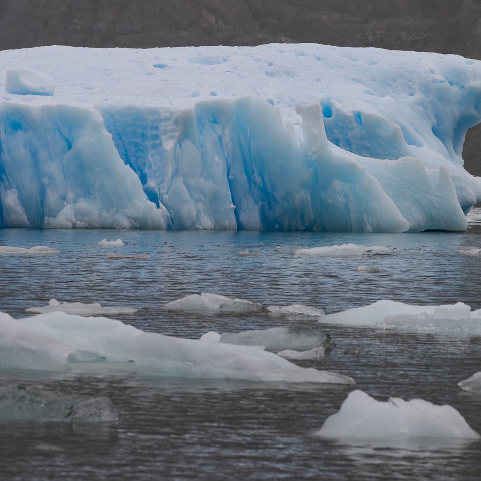 Hallan miles de nidos de peces debajo de un iceberg.