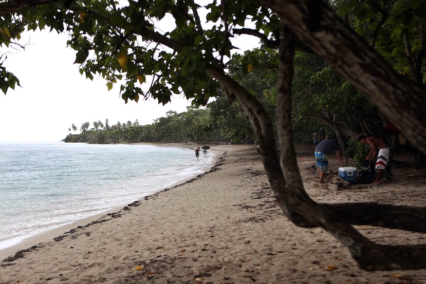 El hallazgo ocurrió entre la Playa Buyé y Villa Lamela en Cabo Rojo. (GFR Media)