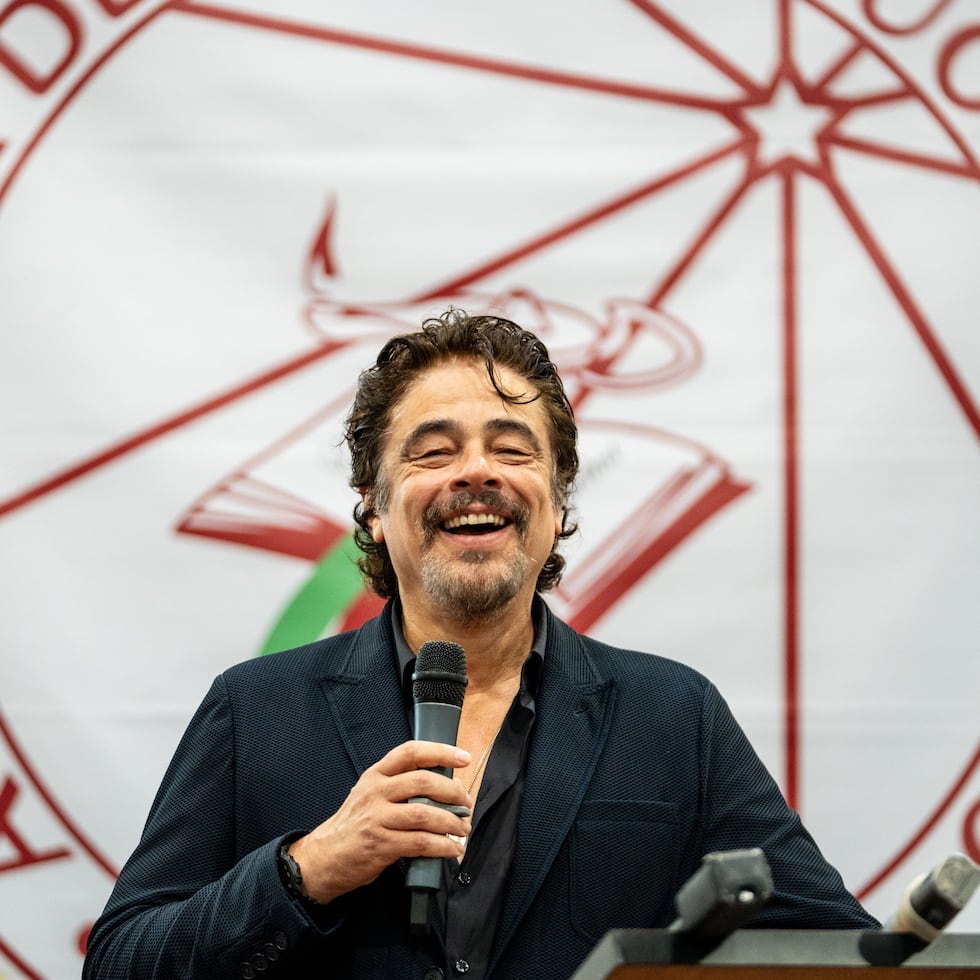 El actor Benicio del Toro.