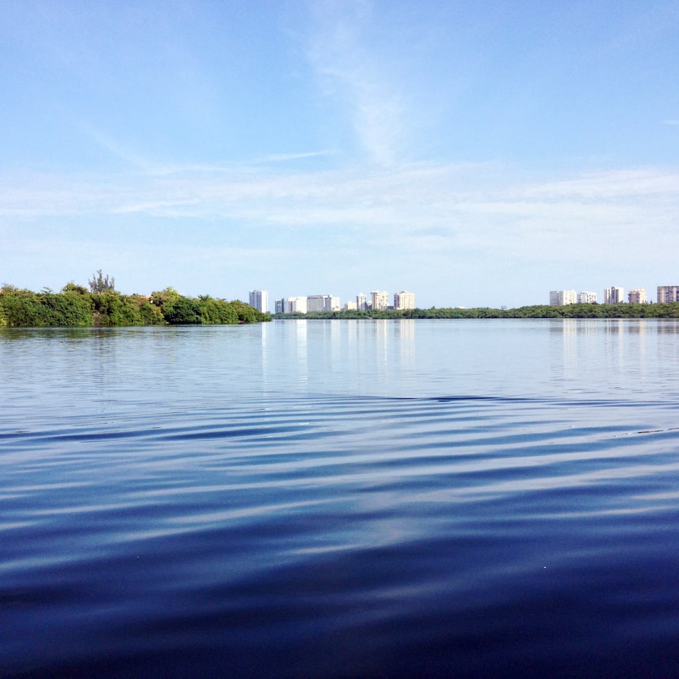 Personal del Cuerpo de Investigaciones Criminales (CIC) de Carolina se encuentra en la escena.
