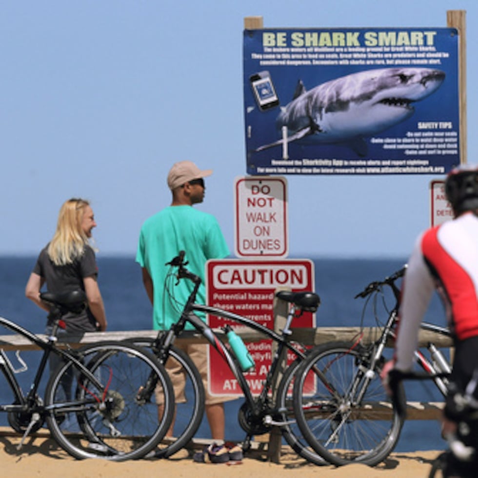 ARCHIVO - Un cartel advierte a los bañistas sobre la presencia de tiburones en la playa de Lecount Hollow, el 22 de mayo de 2019, en Wellfleet, Massachusetts. (Foto AP/Charles Krupa, archivo)