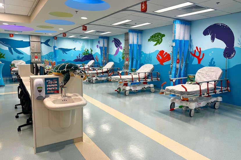 La nueva Unidad Pediátrica en Sala de Emergencias tiene la capacidad de atender a varios pacientes simultáneamente.