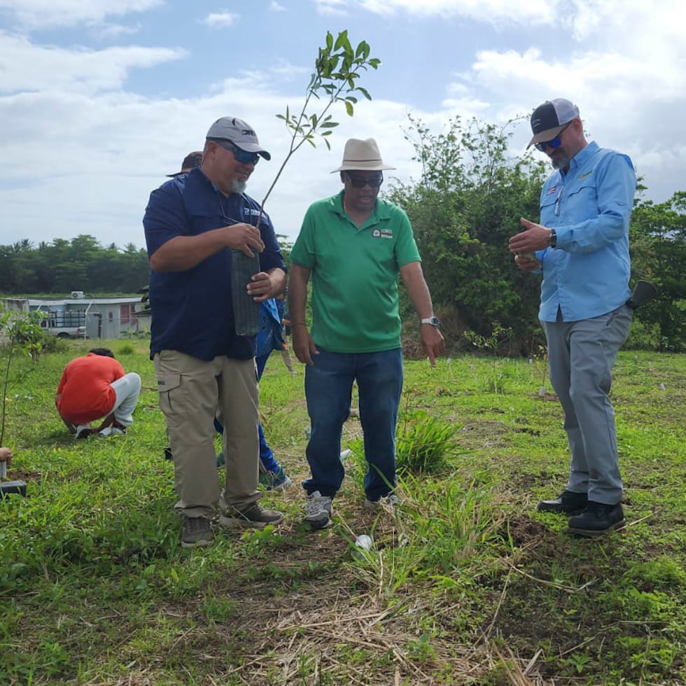 El evento fue parte de un “proyecto más grande” de lograr la siembra de 10 mil nuevos árboles en la zona.