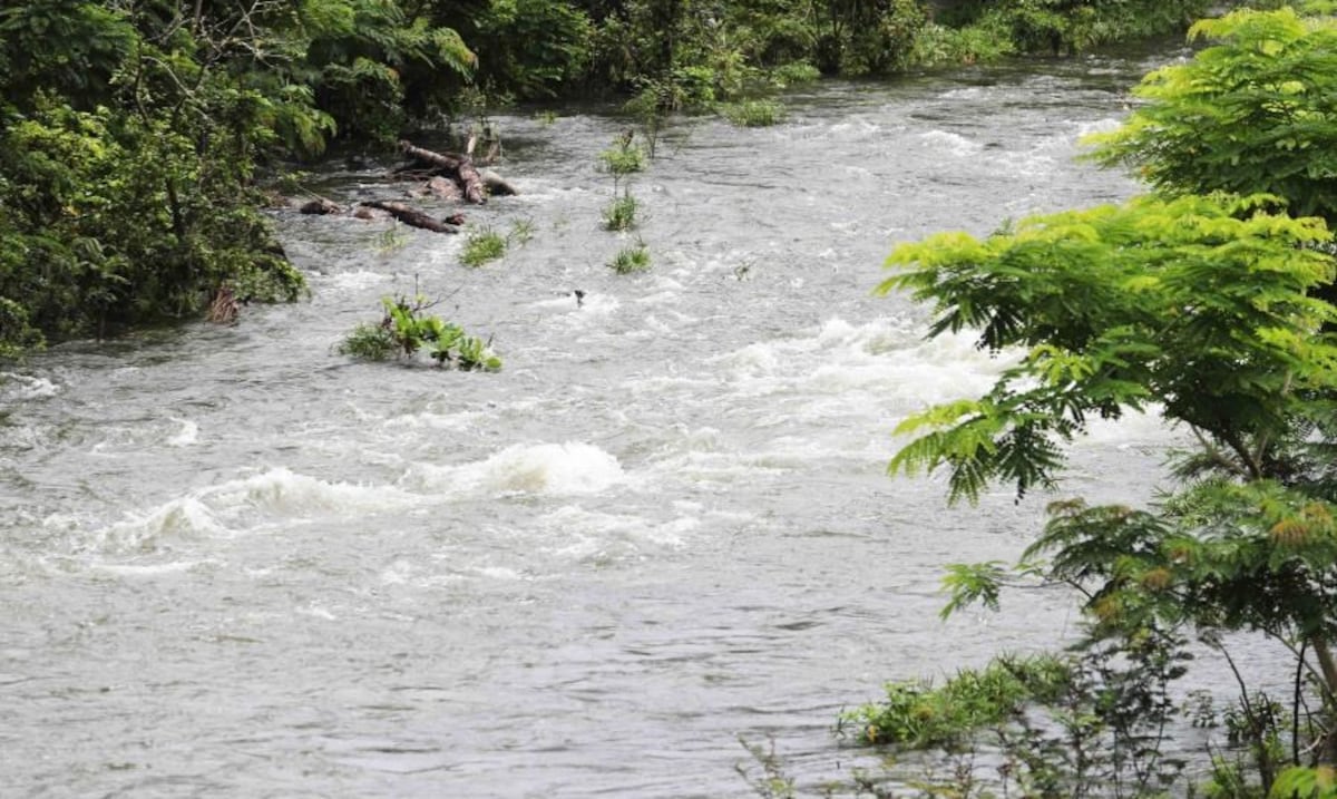 Rescatan a tres turistas y su guía tras crecida en el Charco Frío en Ceiba