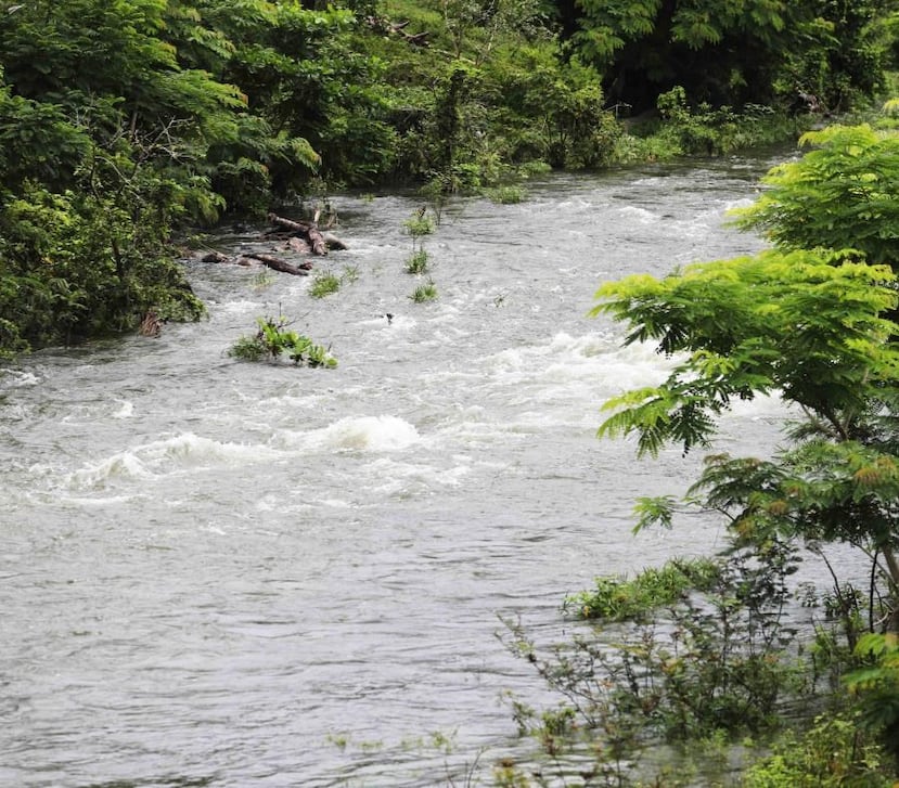 Los hechos ocurrieron en el área de Charco Frío, en Ceiba. (GFR Media)