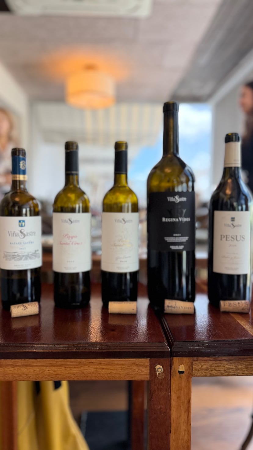 Vinos de la Bodega Sastre en España.