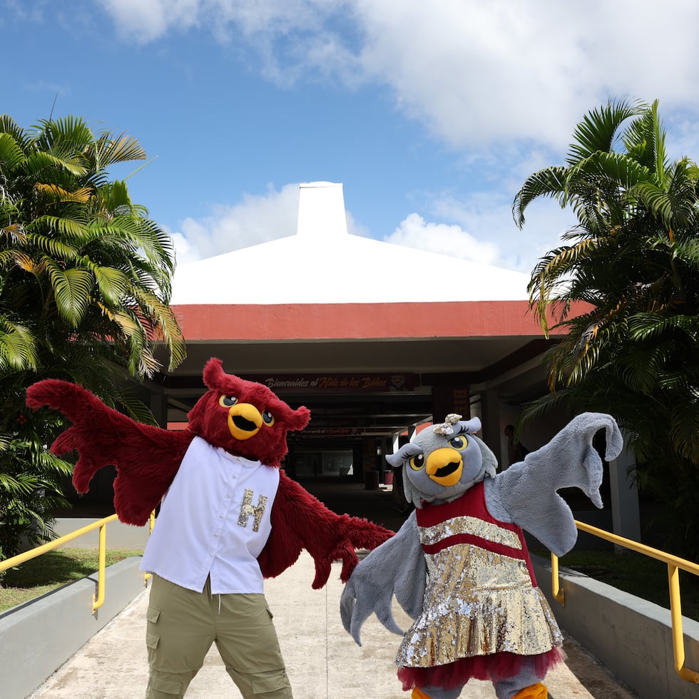 La UPRH celebrará el evento “Conoce el Nido” el sábado 28 de marzo de 2026, una oportunidad para que los futuros universitarios conozcan la vida académica, los servicios y las experiencias que ofrece la institución.