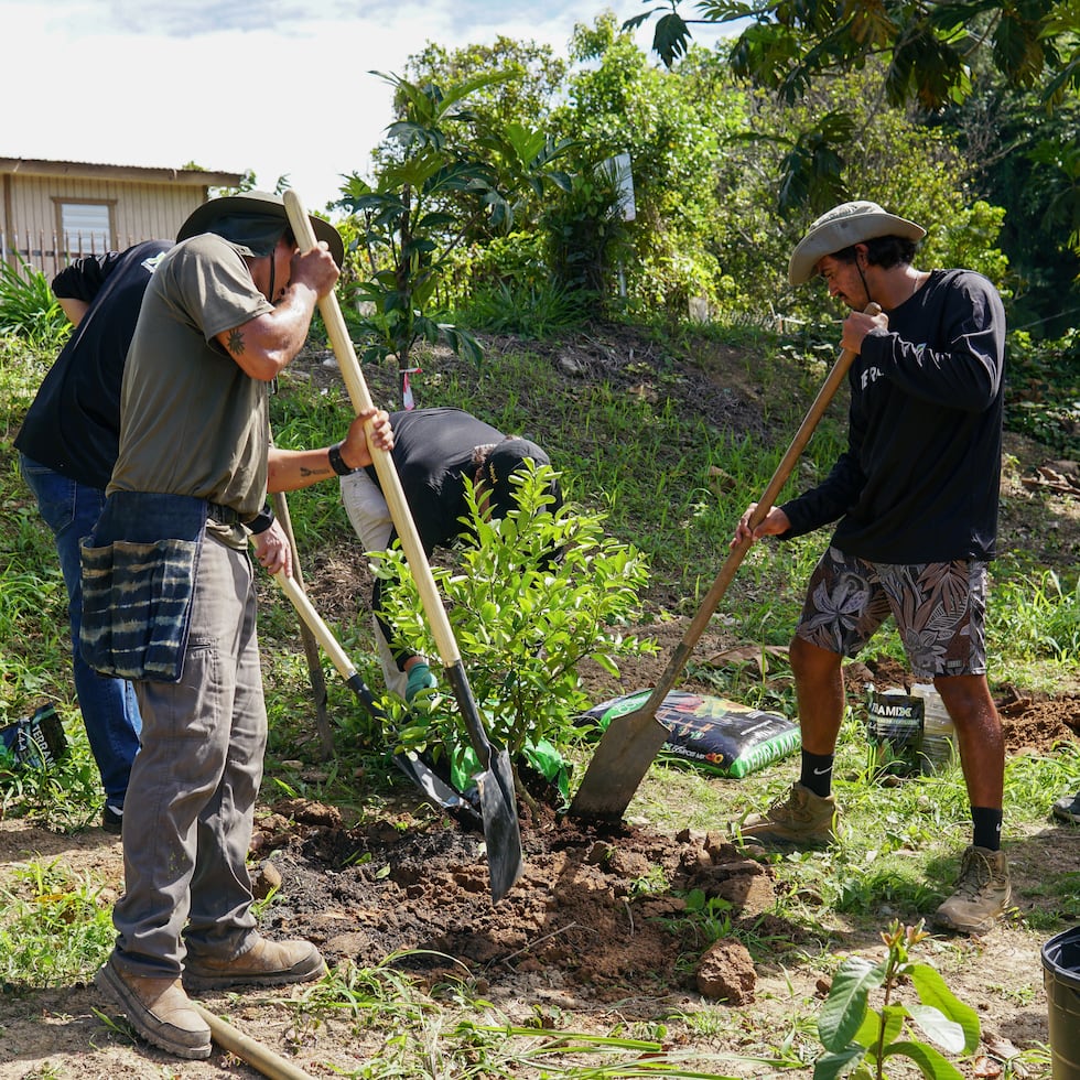 En Morovis, ya tienen 50 referidos adultos mayores que son potenciales participantes.