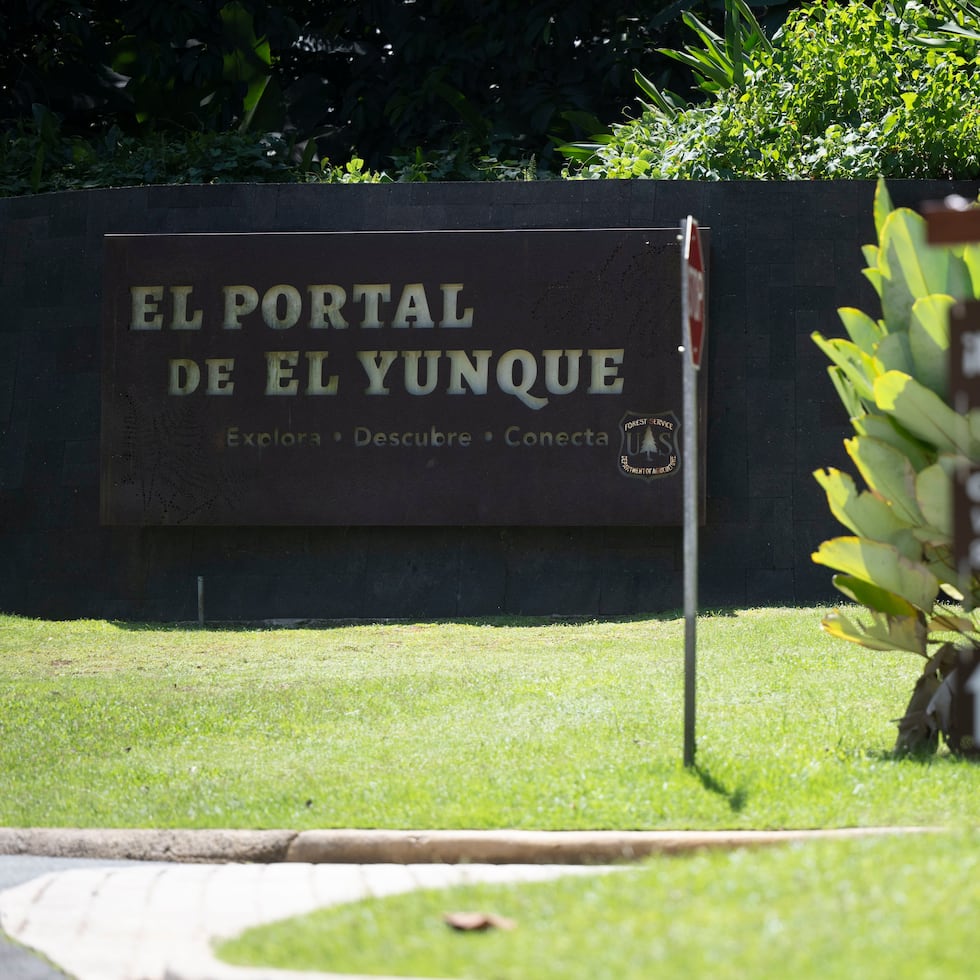 El Yunque está bajo la jurisdicción del Servicio Forestal de Estados Unidos.