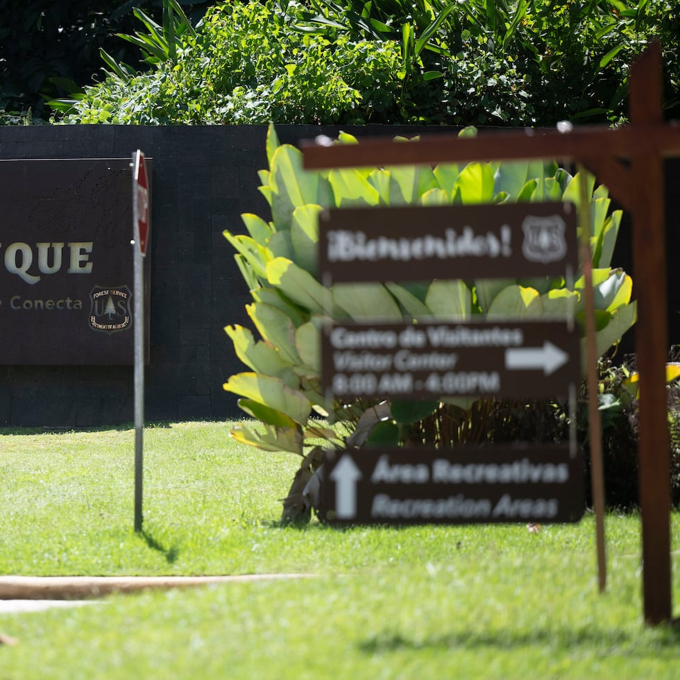 In Puerto Rico, the Forest Service’s presence -which manages and protects 154 national forests in 44 states and the Puerto Rican archipelago- includes the El Yunque National Forest.