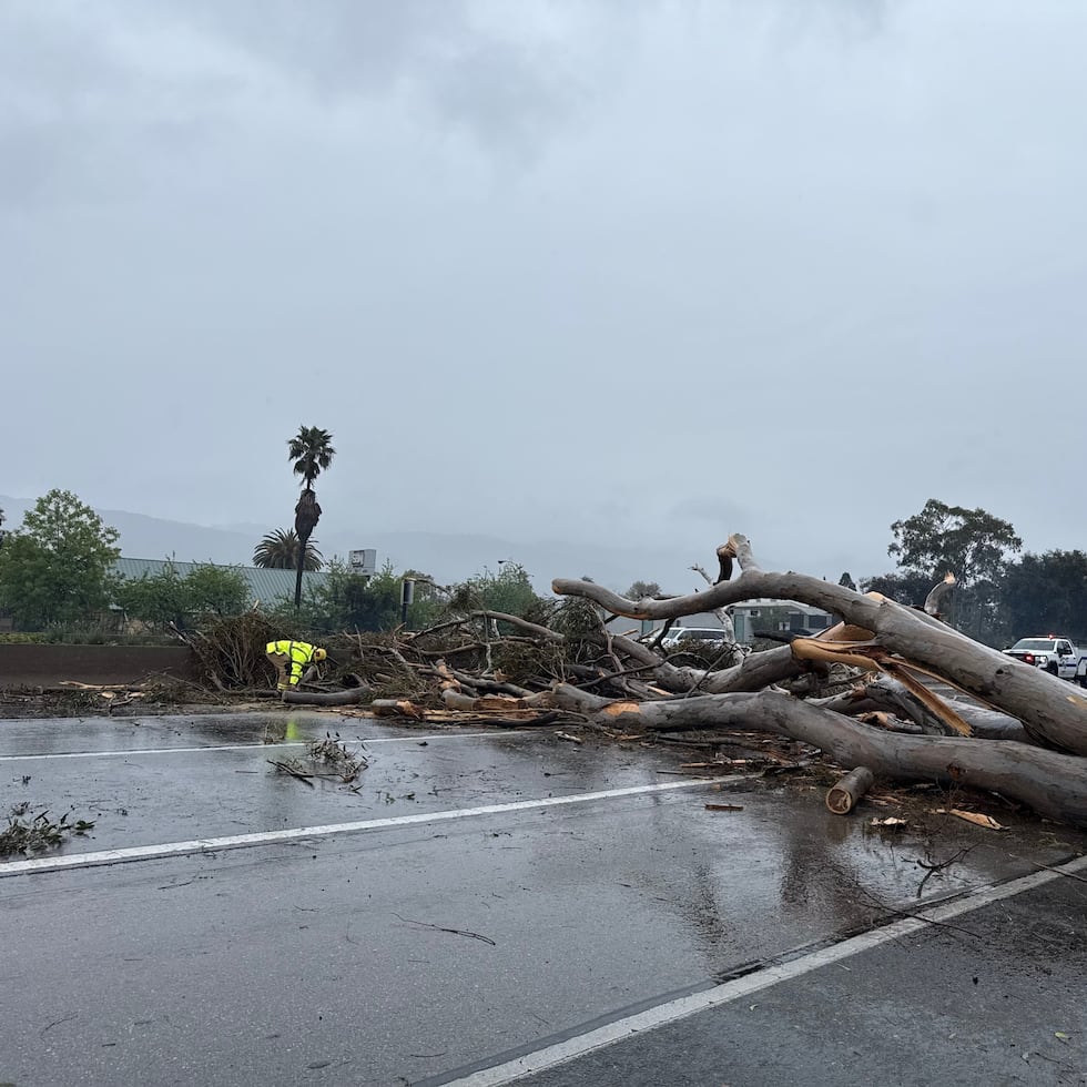 Los meteorólogos informaron que la ladera occidental de la Sierra Nevada, el norte del condado Shasta —incluidas partes de la autopista Interestatal 5— y sectores de la Cordillera Costera del estado podrían registrar hasta 2,4 metros (8 pies) de nieve antes de que la tormenta atraviese la zona el miércoles por la noche.