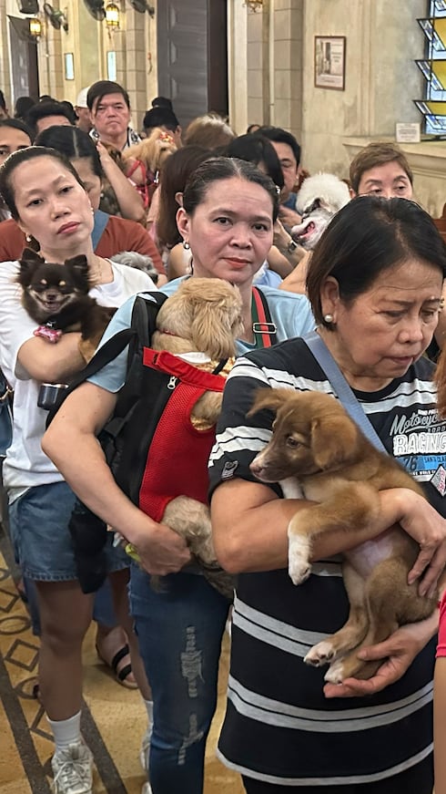 En esta fotografía tomada con un teléfono inteligente, dueños de mascotas hacen fila para recibir agua bendita que un sacerdote rocía sobre perros y gatos durante una ceremonia de bendición de animales en la iglesia de Malate, en Manila, Filipinas.