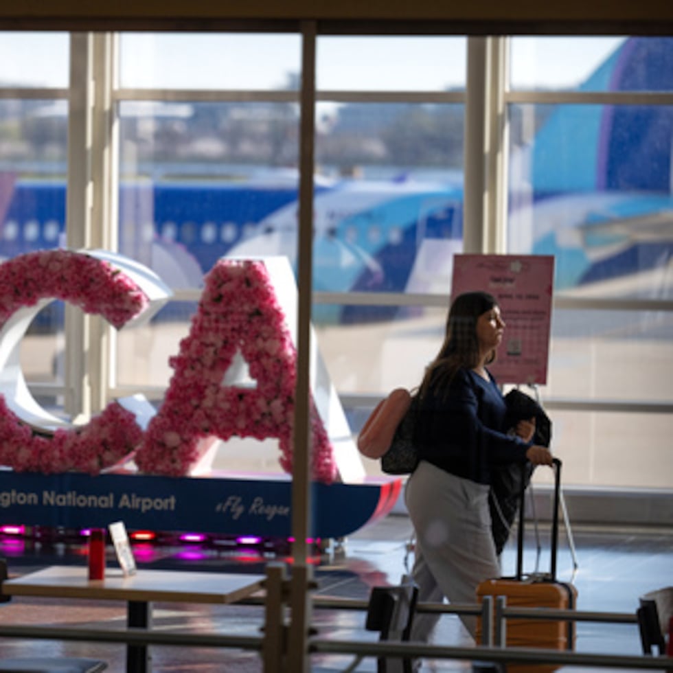 Los aeropuertos que dan servicio a Washington, D.C., Baltimore y algunas ciudades de Virginia detuvieron brevemente todos los vuelos el viernes por la noche.