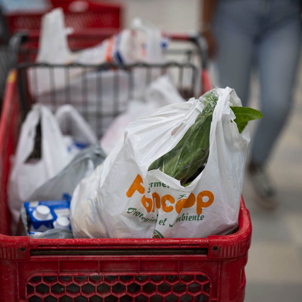 El gobierno de Jenniffer González ha indicado que los beneficios de noviembre del PAN están garantizados debido a que identificaron un sobrante de unos $83.5 millones de los fondos del pasado año fiscal de ese programa, sumados a $145 millones de un fondo de contingencia que fueron autorizados.