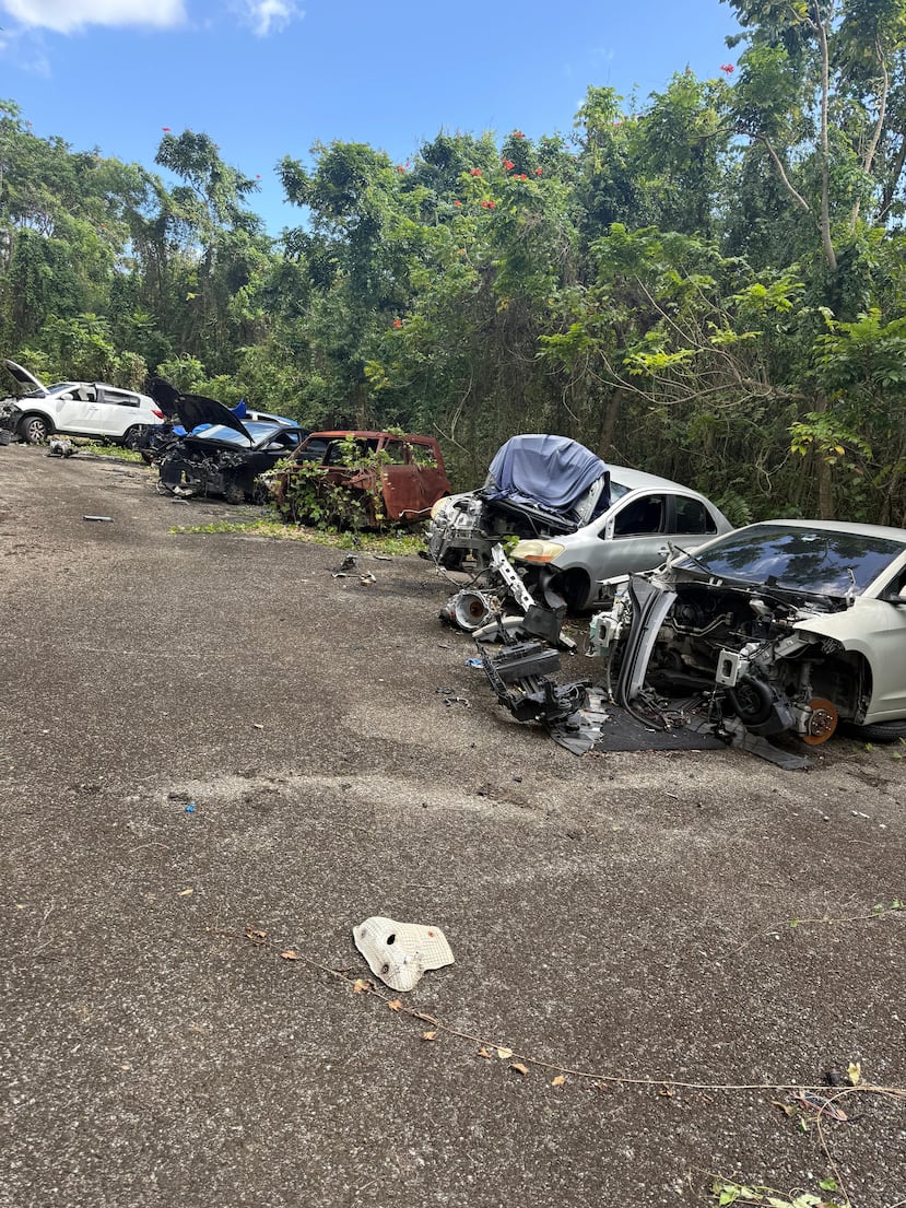 Cementerio de autos hurtados en Dorado