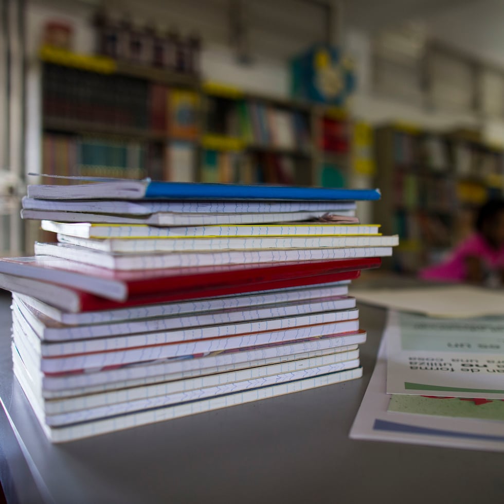 La centralización bajo la ASG permitirá dar mayor visibilidad a las transacciones que se hacen en Educación, indicó la administradora Karla Mercado Rivera.