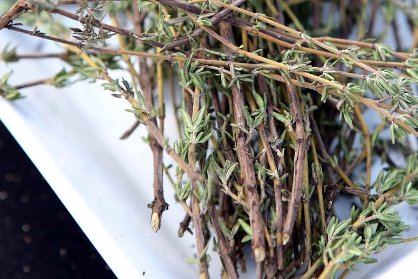 El tomillo tiene poderes expectorantes y la capacidad de limpiar los pulmones. (Archivo GFR Media/Gerald López)