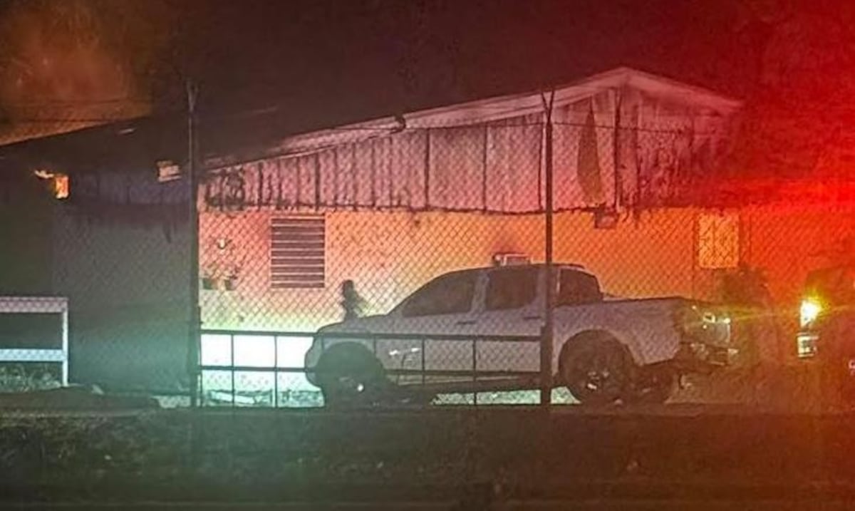 Incendio afecta dos caballos en Hipódromo Camarero