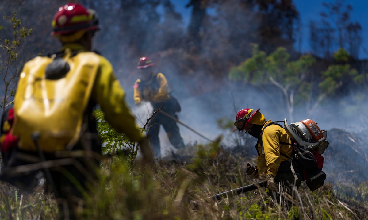 Calor, vientos y vegetación seca elevan peligro de incendios en el sur y oeste de PR