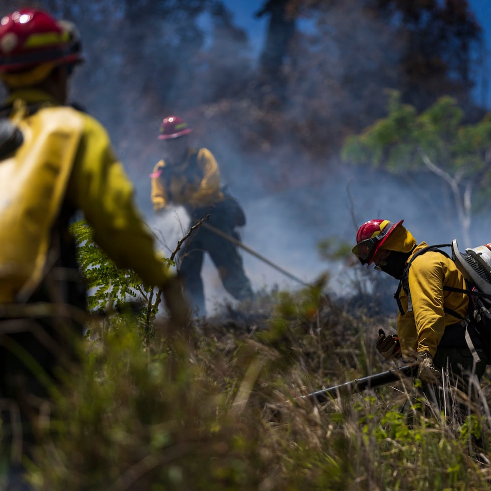 Un comunicado de peligro de incendios permanece en efecto hasta las 4:00 p.m. para zonas del sur y oeste de la isla.