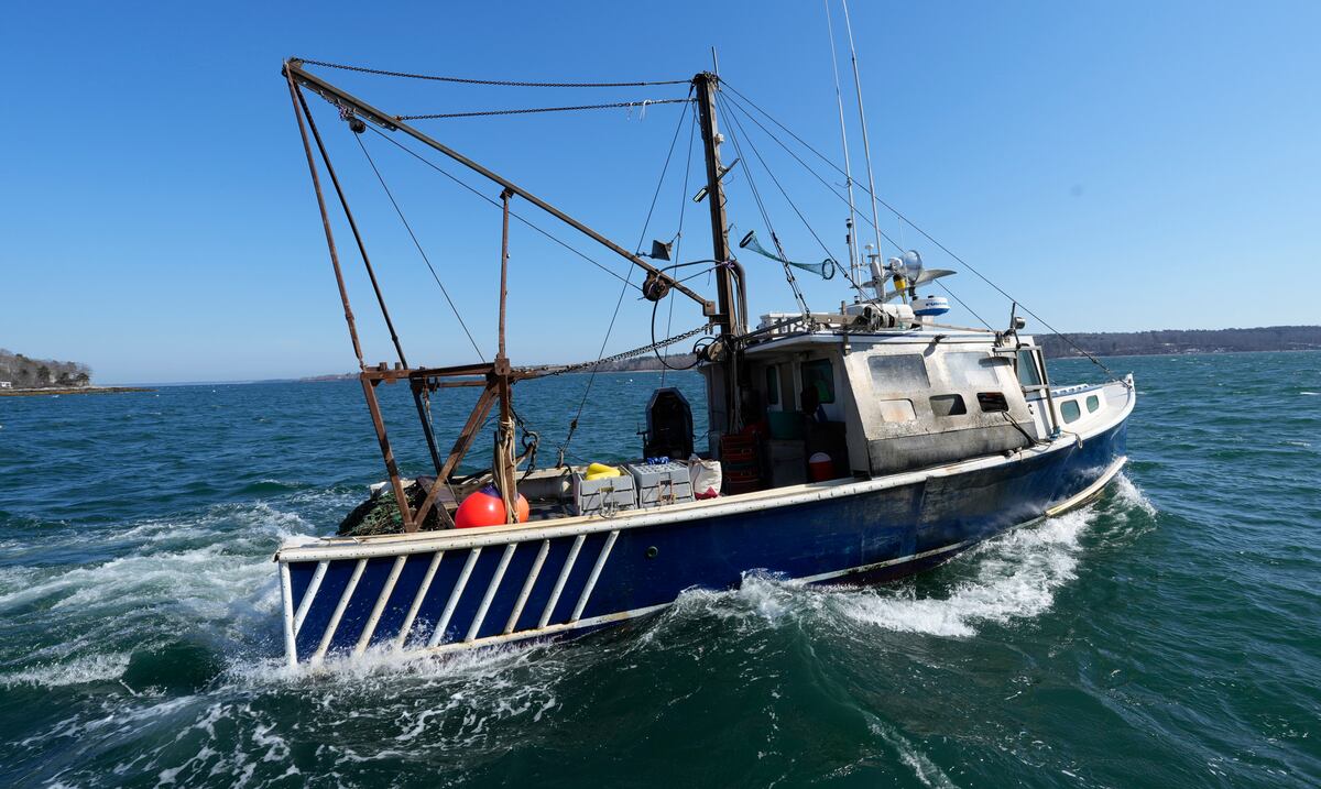 ¿Cómo los recortes de Trump afectan a la industria pesquera y su adopción de tecnología sostenible?