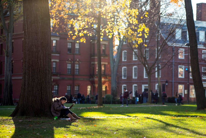 Campus de la universidad de Harvard, en Cambridge. (EFE)
