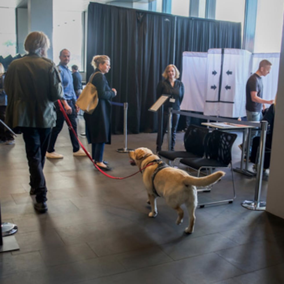 Votantes y trabajadores electorales en el interior de un colegio electoral del Ayuntamiento de Reikiavik, en Islandia, durante un referéndum sobre la reanudación de las negociaciones para la adhesión a la Unión Europea, el sábado 29 de agosto de 2026.