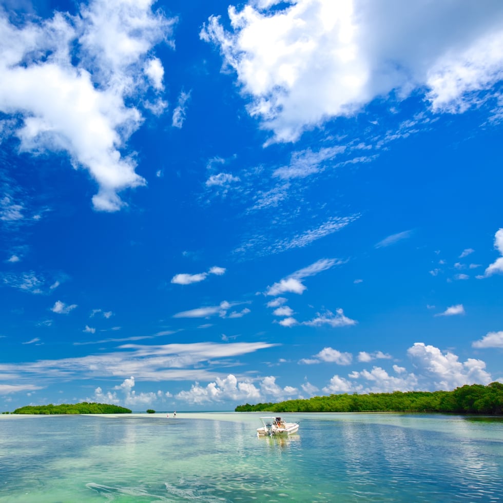 SUGARLOAF KEY, Florida Keys — The flat calm waters of the Florida Keys backcountry are a popular location for pleasure boaters in the Lower Keys. The mangrove islands are situated roughly 5 miles from the main island chain and feature sandy bottom and crystal-clear waters. Many areas in the backcountry are part of the Great White Heron National Wildlife Refuge. (Rob O'Neal/Florida Keys News Bureau)