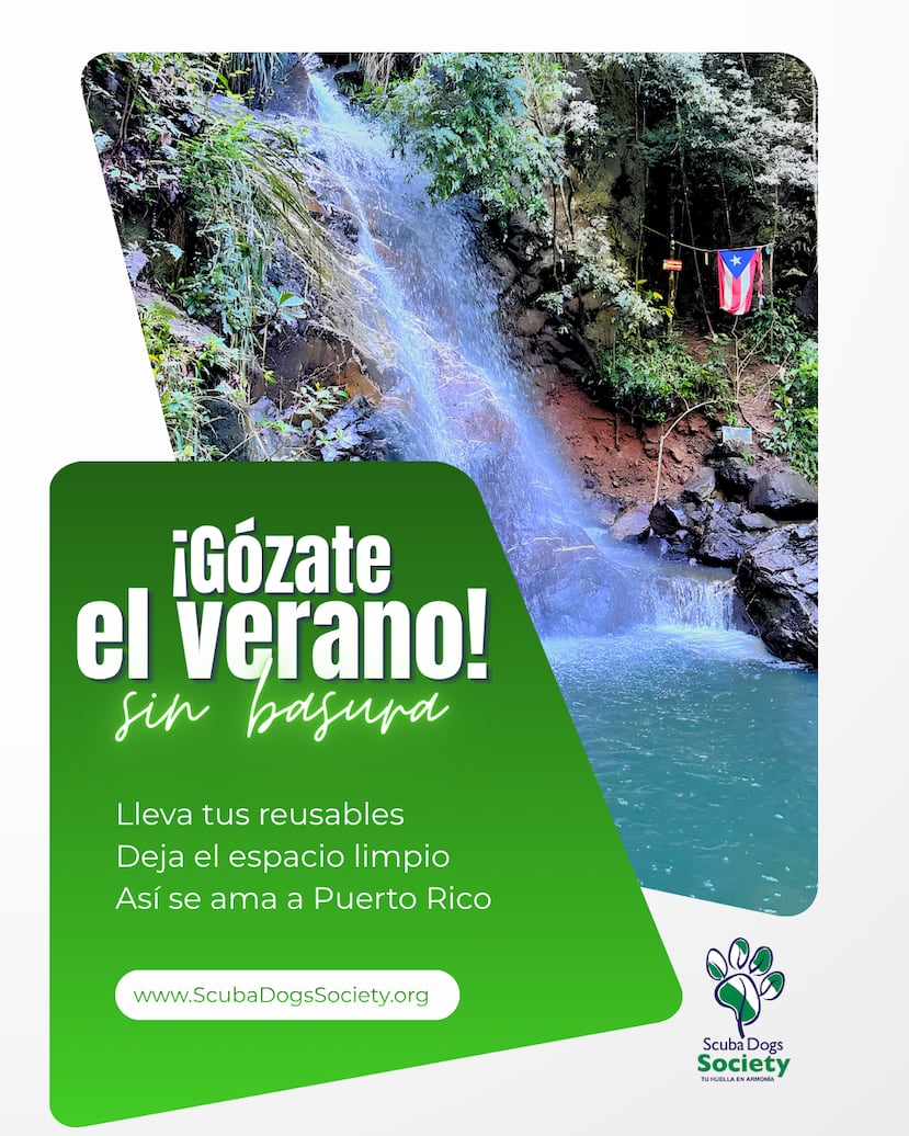 Parte de la campaña de la organización Scuba Dogs Society.