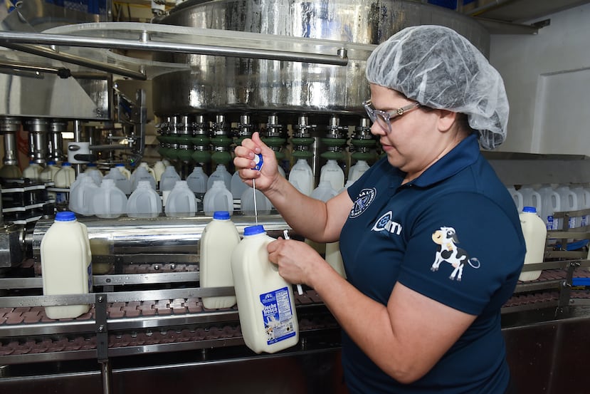 La inspectora de calidad Dalianisse González Malavé utiliza un termómetro previamente calibrado para tomar la temperatura de la leche fresca en el área de envasado; la misma tiene que estar a 45 grados Fahrenheit.