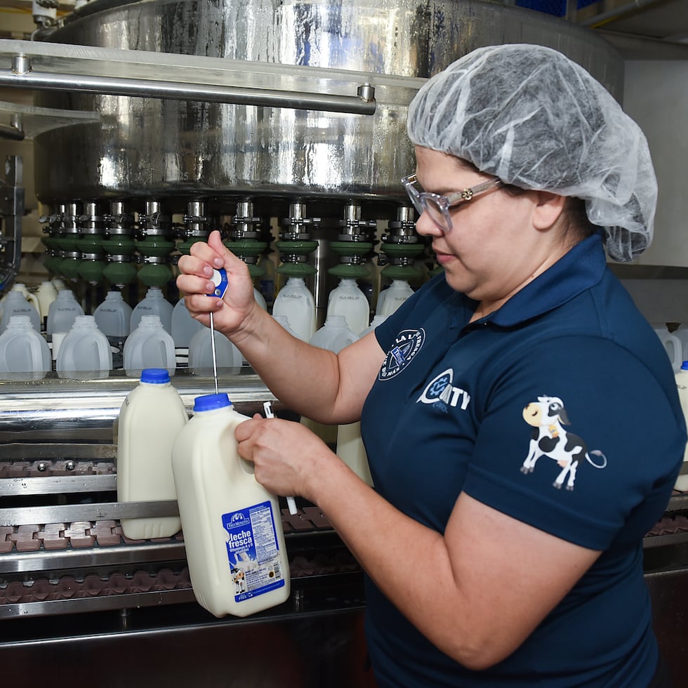 La inspectora de calidad Dalianisse González Malavé utiliza un termómetro previamente calibrado para tomar la temperatura de la leche fresca en el área de envasado; la misma tiene que estar a 45 grados Fahrenheit.