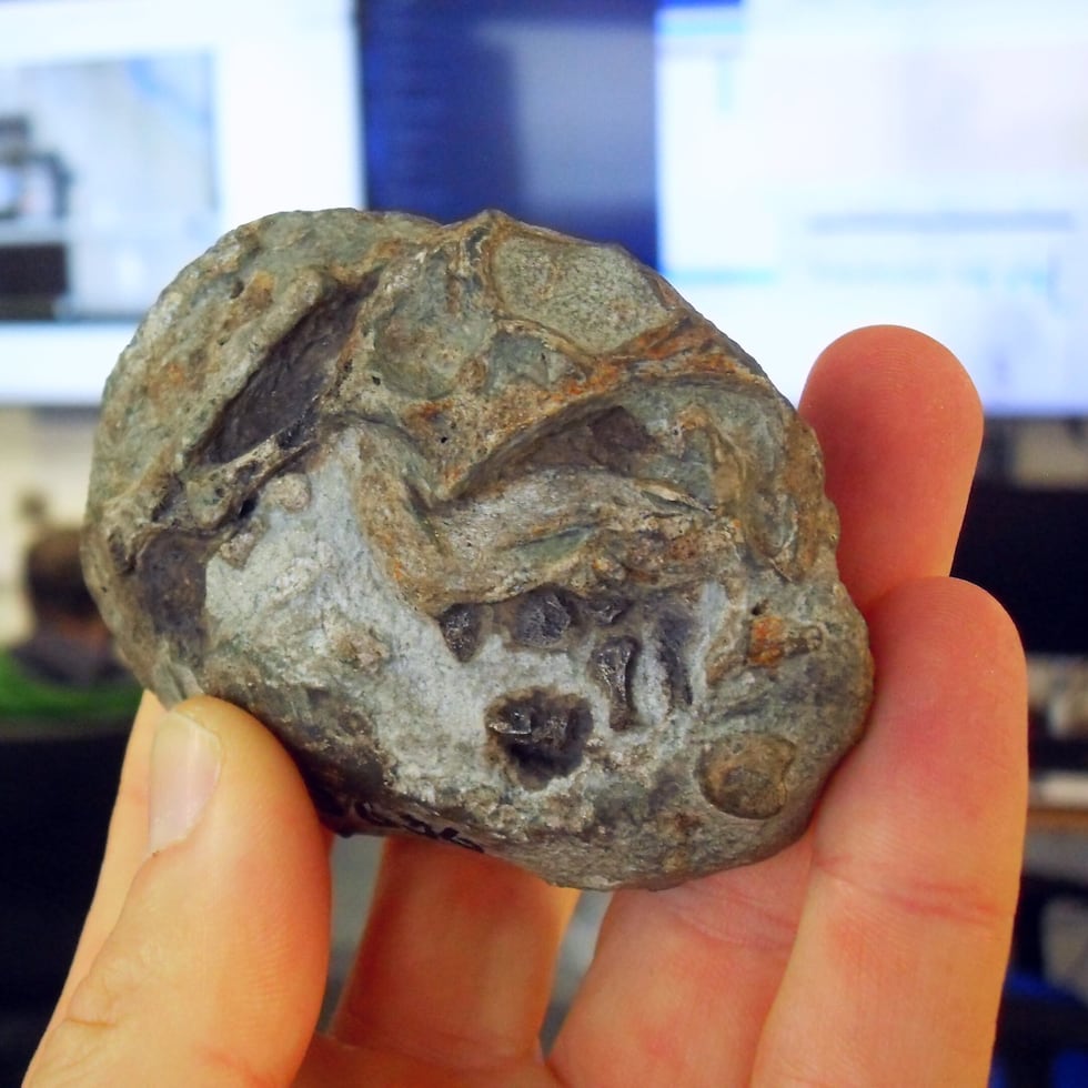 Huevo fotografiado en la sala de control del ESRF en Francia.