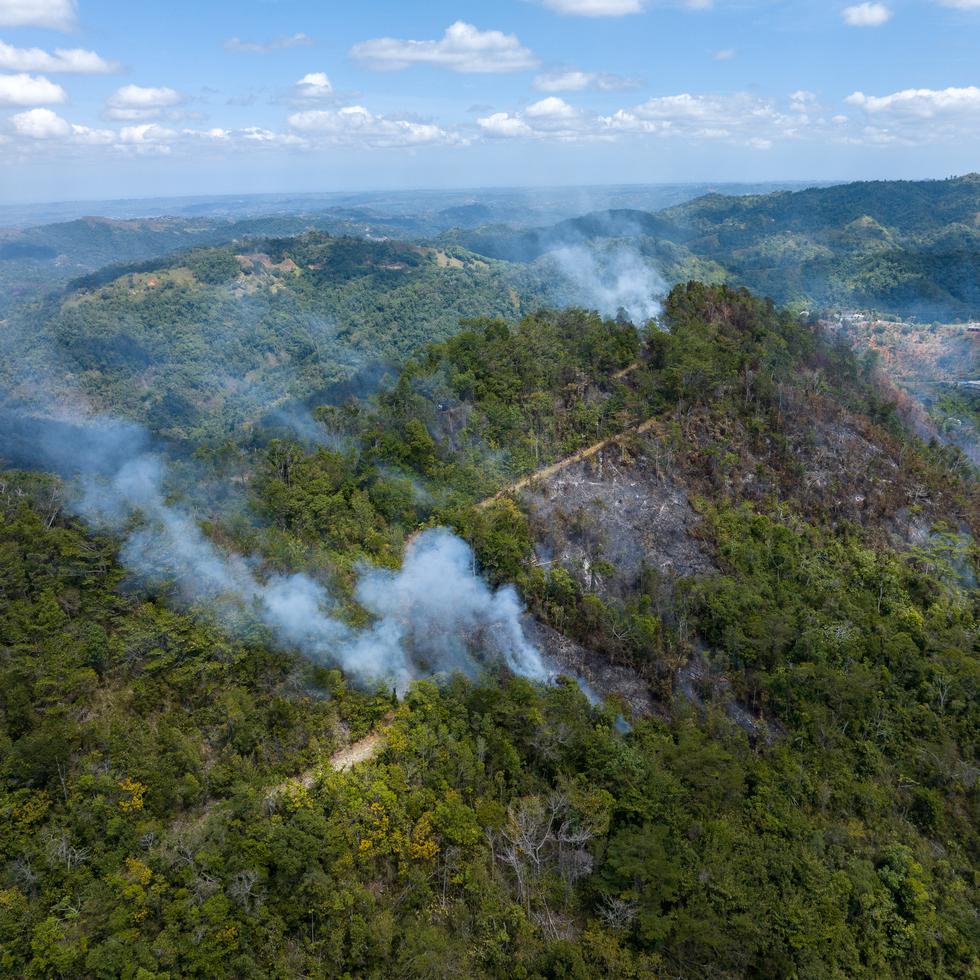Hasta finales de enero, el Negociado del Cuerpo de Bomberos habían atendido aproximadamente 260 fuegos forestales.