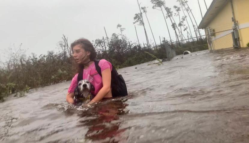 Julia Aylen camina con el agua hasta la cintura mientras carga a su perro y es rescatada de su vivienda inundada a causa del huracán Dorian en Freeport, Bahamas, el martes 3 de septiembre de 2019. (AP/Tim Aylen)