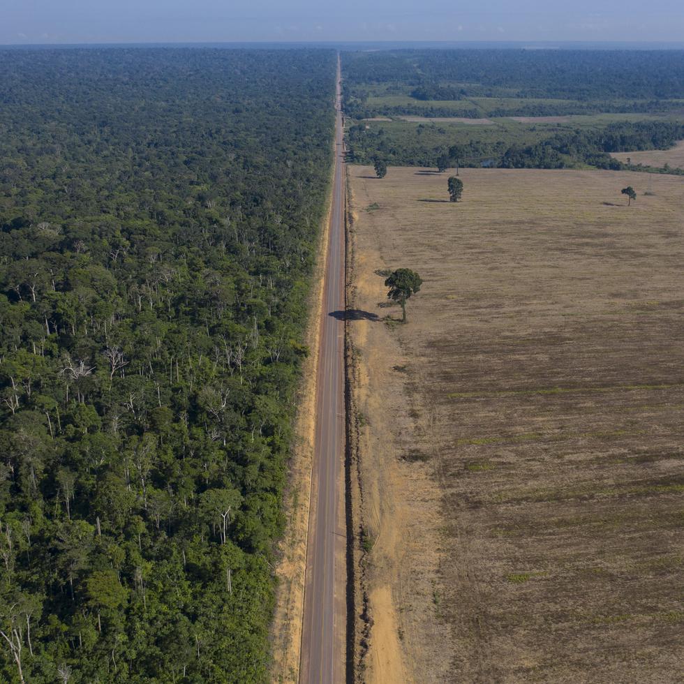 ARCHIVO - En esta foto de archivo del 25 de noviembre de 2019 se ve la ruta BR-163 entre el Bosque Nacional de Tapajos, izquierda, y un campo de soya en Belterra, estado de Pará, Brasil. (AP Foto/Leo Correa, Archivo)