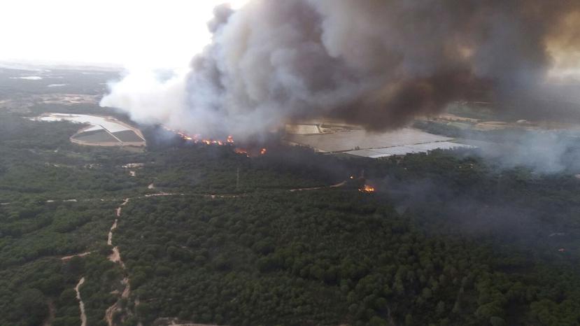 El fuego, que se declaró el sábado por la noche, entró en el llamado Espacio Natural de Doñana o zona de amortiguación, es decir, los terrenos que rodean al Parque Natural. (AP)