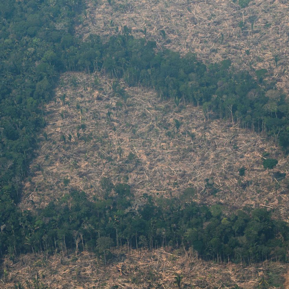 Vista aérea de áreas deforestadas de la selva amazónica de Porto Velho, Rondonia (Brasil) con el lado derecho calcinado por los incendios.