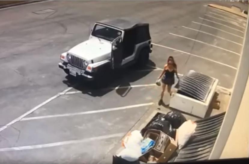En un video de una cámara de seguridad, se ve a una mujer saliendo de un auto  y tirando una bolsa con los cachorros a un contenedor detrás de una tienda. (Captura)