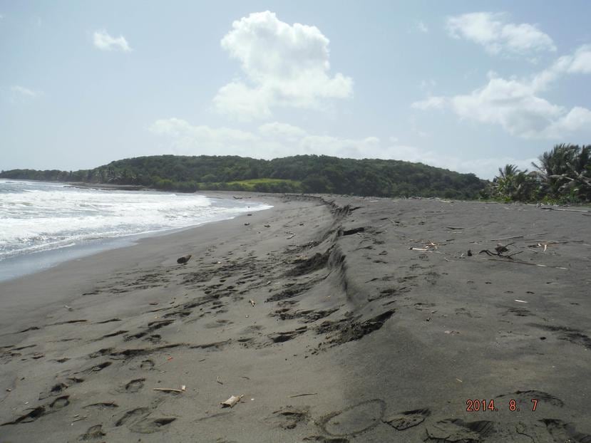 El 90% de las playas visitadas por los voluntarios de la Red de Playas de Puerto Rico y el Caribe mostró pérdida de elevación (se aplanaron) luego del huracán María. En la foto, la playa de La Boca, en Barceloneta. (Suministrada)